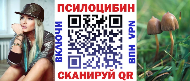 Галлюциногенные грибы Cubensis  Купить  Козельск 