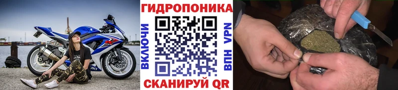 Купить закладки  Козельск  Шишки марихуана AK-47 